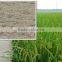 Agriculture liquid fertilizer Chitosan foliar fertilizer