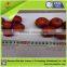 NPK Compound Fertilizer 16-5-20