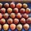 Quality Healthy Passion Fruit/ Vietnam Passion Fruit