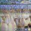 Halal Stainless Steel Poultry Abattoir and Slaughterhouse Machines and Equipment