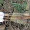 FD7008Bamboo arrows