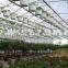 RoughBrothers Coldframe Series Galvanized Steel Frame Vegetable Tunnel Plastic Greenhouse