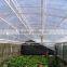 swimming pool cover/Gymnasiums roofing/glassfiber roofing sheet