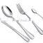 Stainless Steel Fork Cutlery Set