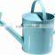 5L Metal Watering Cans for Sale