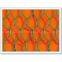 Hexagonal Wire Netting