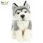 Aipinqi CDGM16 Stuffed Lovely Dog Plush Toy