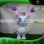 Custom Factory Pokemon Cartoon Character Costume Balloons Inflatable SPH hongyi Toy Sexy Animal PVC Inflatables