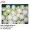 Onion Processing Machine Line|Onion Peeling and Root Cutting Plant|Onion Skin Remover Low Price