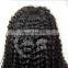 Hot selling high quality afro kinky curly lace front wig indian remy wig