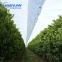 Plastic cover to ensure fruit production and prevent damage from rain, hail with uv protection
