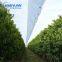 strong reinforced woven fabric poly film for greenhouse