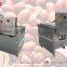 Commercial India Peanut Frying Machine 200kg/h Price Online