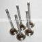 QSK19 QSX15 ISX15 intake valve and Exhaust valve 4016438 3090469 4965869 4059327 for Cummins
