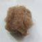 100% Natural Camel Hair, Camel Hair Waste, 28-34mic With Brown Color