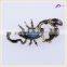 High Quality Charming Crystal Scorpion Animal Sherwani Brooch Jewelry