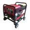 Hot Sale for Home/Outdoor Use Diesel Welding Generator with Electric Starter, Ce Euro V, EPA