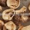High quality dried straw mushroom/Wholesale bulk mushroom from Vietnam