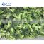 Sinocharm BRC A Approved High Quality Frozen Vegetable IQF Cut Broccoli Floret Frozen Broccoli