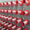 Polyester monofilament