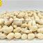 Whole cashew kernel W450, AFI standard, fast shipping glabaly, origin Vietnam