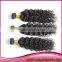 Unprocessed Wholesale Virgin Brazilian Hair Brazilian Virgin Human Hair Extension Cheap Wholesale Brazilian Virgin Hair
