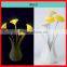 2015 Amazing!!! Mini led motion sensor night light