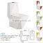 Chaozhou sanitary ware ceramic washdown color one piece toilet