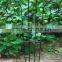 New type of flower plant vines frame bracket