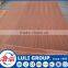 hot sale first class color plywood