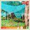 Agriculture Olive Harvest Net/Olive Collecting Netting manufacture Jiahe