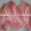 Frozen Tilapia Fillet