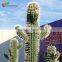 Garden decoration artificial plant cactus