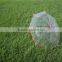 Honsen beauty clear poe umbrella