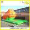2014 New pvc Inflatable frog model Water Slide for Water Park