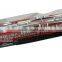 Colored Double Plastic Wiper Blade With Adapters