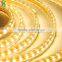 Outdoor SMD Flexible Light Strip