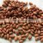 Raw peanuts shell for sale from factory directly