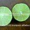 High quality fresh seedless lime lemon from Vietnam