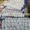 pure white garlic 5.0cm