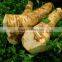 dried horseradish flakes in dried vegetables