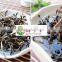 Supply wholesale strips black fungus