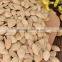 2015 Crop Inner Mongolia Pumpkin Seeds