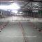Broiler poultry shed design
