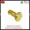Non-standard Custom Made Kinds Of Brass Screw For Sale