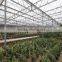 PC Sheet / Polycarbonate Greenhouse for flower growing