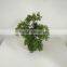 mini bonsai sall bonsai artificial tree bonsai