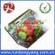 Customized Plastic Stand up Pouch Slider Zip Lock Fruit Packaging Bag