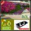 Hydroponic Growing Systems Self Watering Vertical Garden Wall Plant System