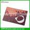 Premier Housewares Placemats